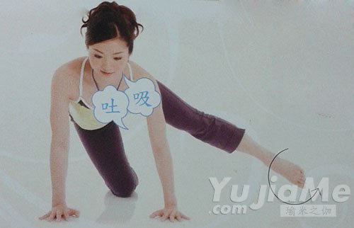 四足跪姿侧抬腿进阶动作