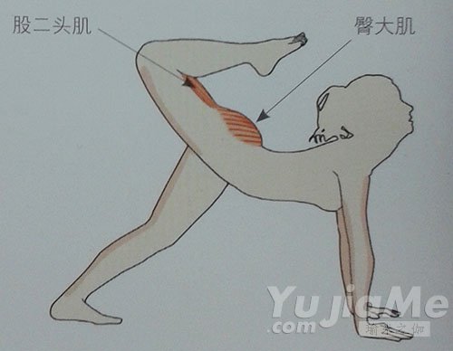 专属于懒人的塑臀减肥瑜伽动作