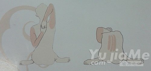 手臂和肩关节的伸展动作效果