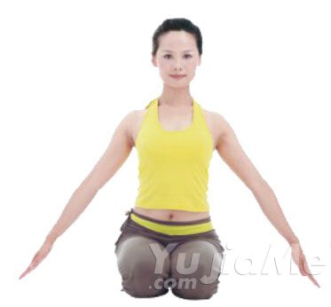 两侧摇摆式1