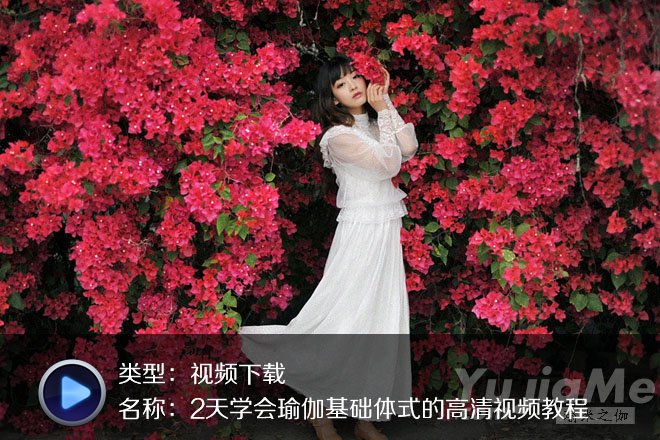 2天学会瑜伽基础体式的高清视频教程