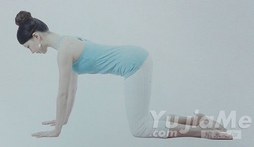 八肢点地式1