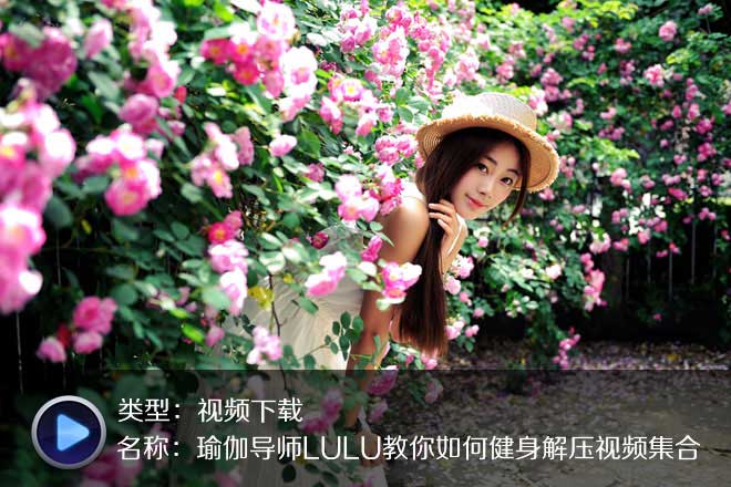 六部LULU高清瑜伽教学视频合集