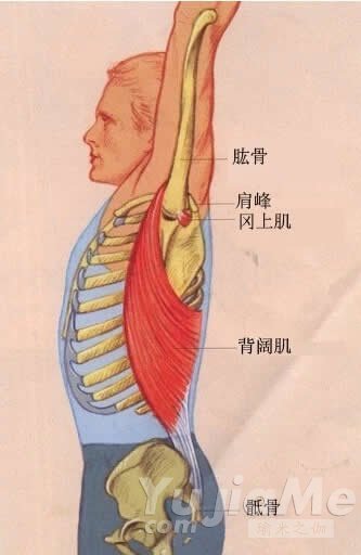 瑜伽体式 拉伸背阔肌舒展上半身3