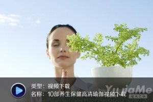10部养生保健高清瑜伽视频下载