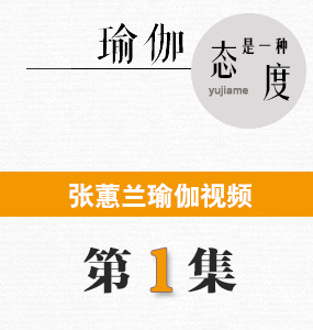 蕙兰瑜伽视频第一集