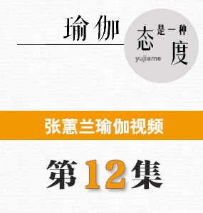 蕙兰瑜伽视频第12集