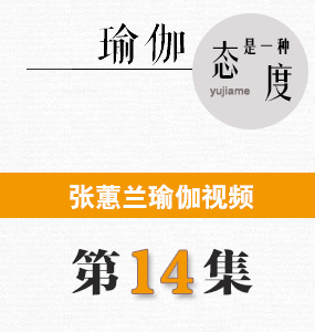 蕙兰瑜伽视频第14集