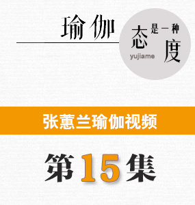 蕙兰瑜伽视频第15集