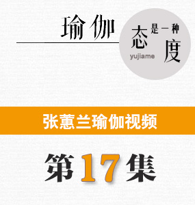 蕙兰瑜伽视频第17集