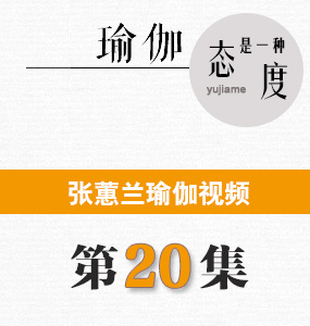 蕙兰瑜伽第20集