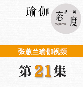 蕙兰瑜伽第21集