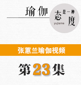 蕙兰瑜伽视频第23集