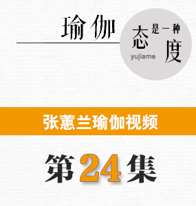 蕙兰瑜伽视频第24集