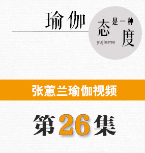 蕙兰瑜伽视频第26集
