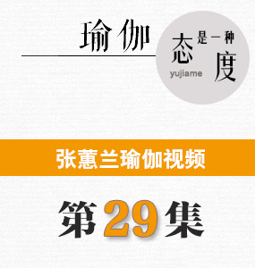 蕙兰瑜伽第29集