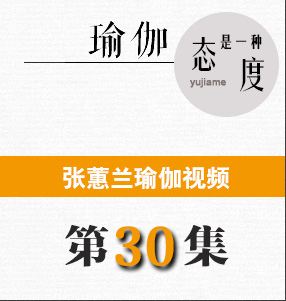 蕙兰瑜伽第30集
