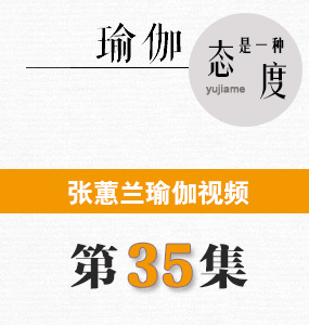 蕙兰瑜伽视频第35集