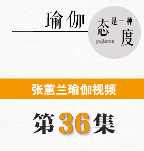 蕙兰瑜伽视频第36集