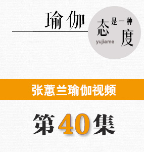 蕙兰瑜伽视频第40集