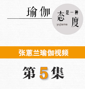 蕙兰瑜伽视频第5集